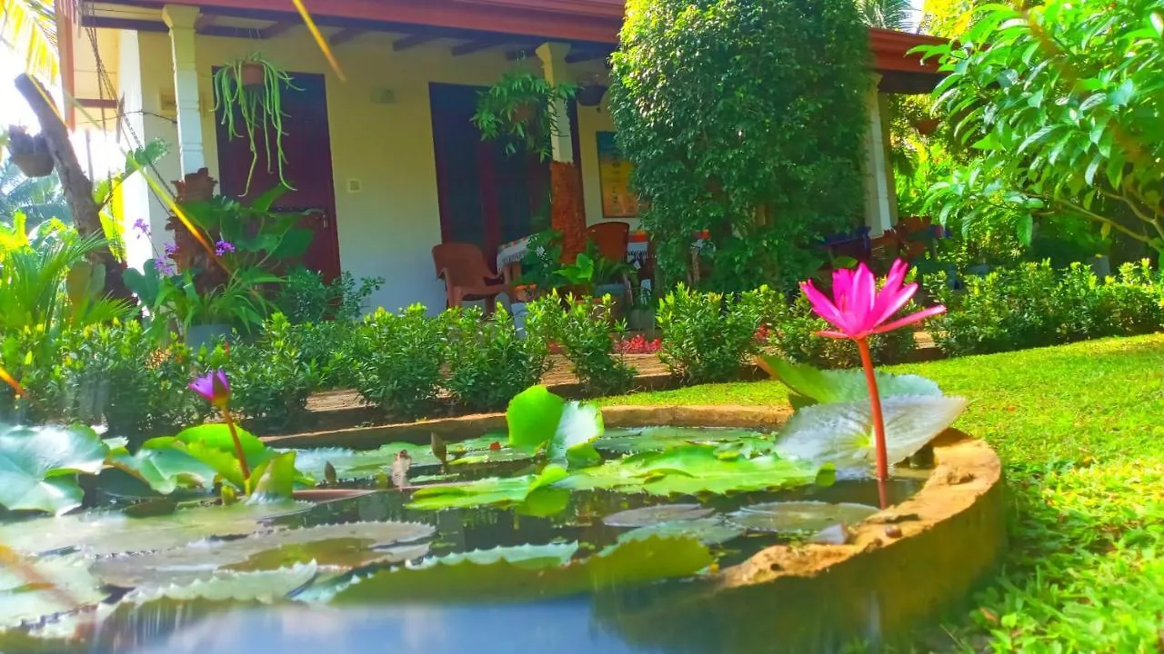 Nice View Lodge Sigiriya