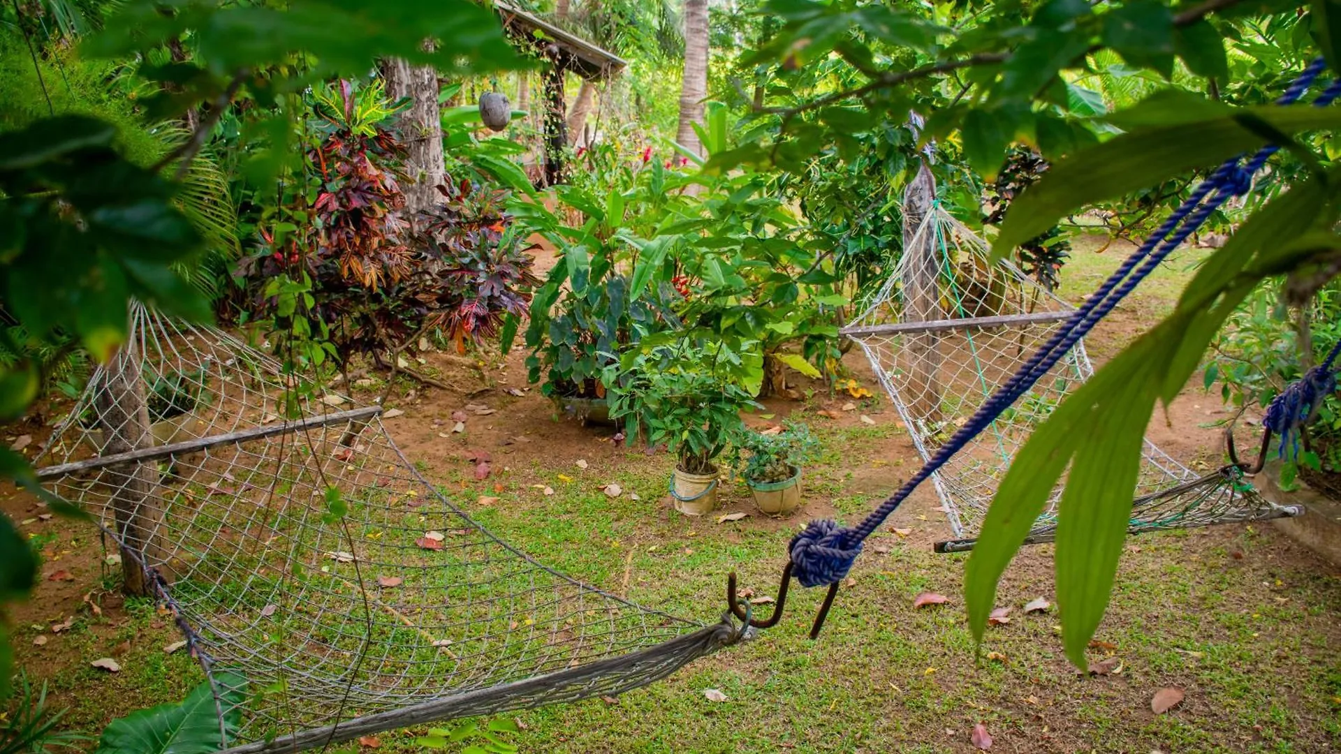 Nice View Lodge Sigiriya Sri Lanka