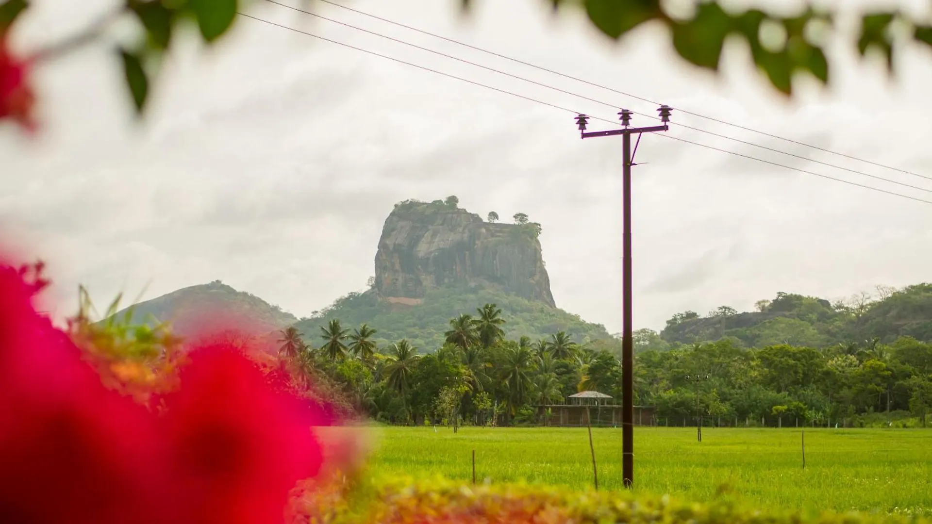 Nice View Lodge Sigiriya