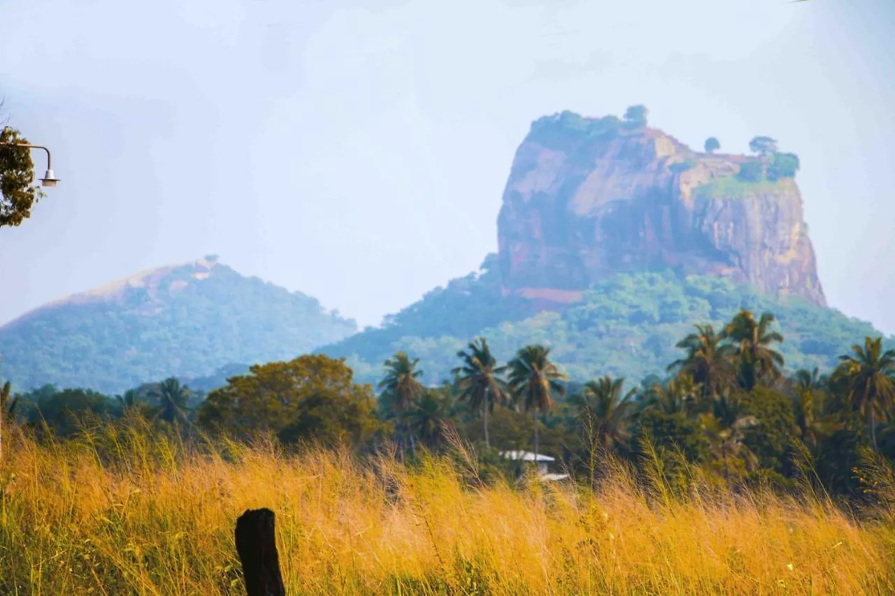 Nice View Lodge Sigiriya Sri Lanka